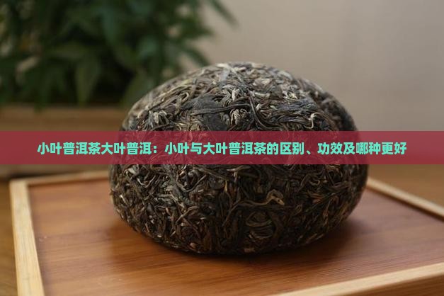 小叶普洱茶大叶普洱