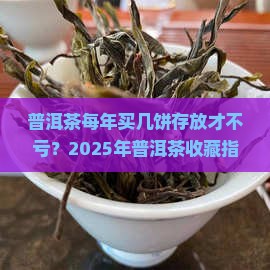 普洱茶每年买几饼存放
