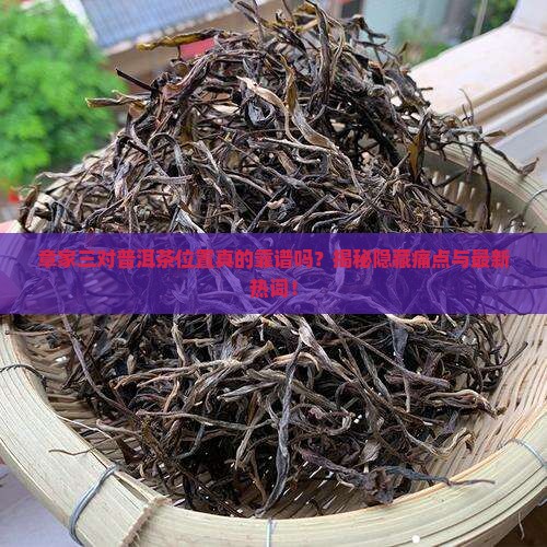 章家三对普洱茶位置