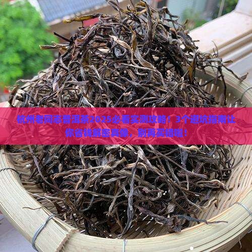 杭州老同志普洱茶