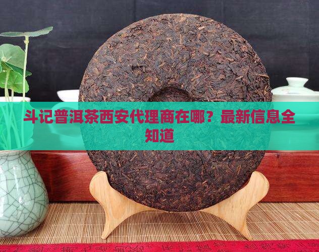 斗记普洱茶西安代理商在哪