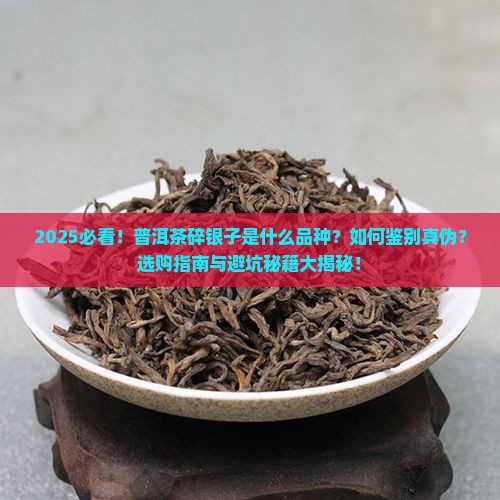 普洱茶中的碎银子是什么品种的