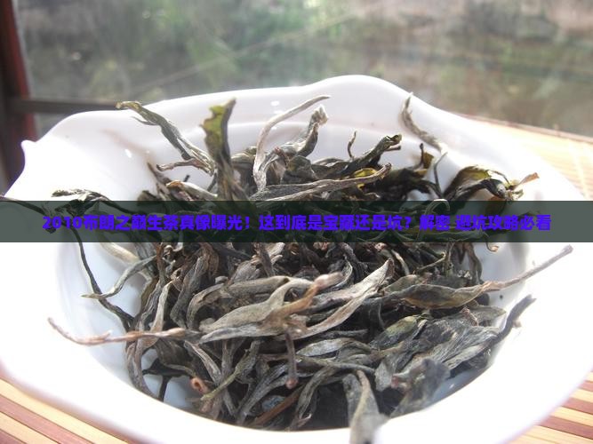 2010布朗之巅生茶