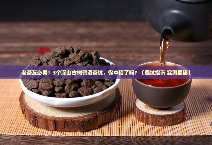 普洱茶老同志深山古树
