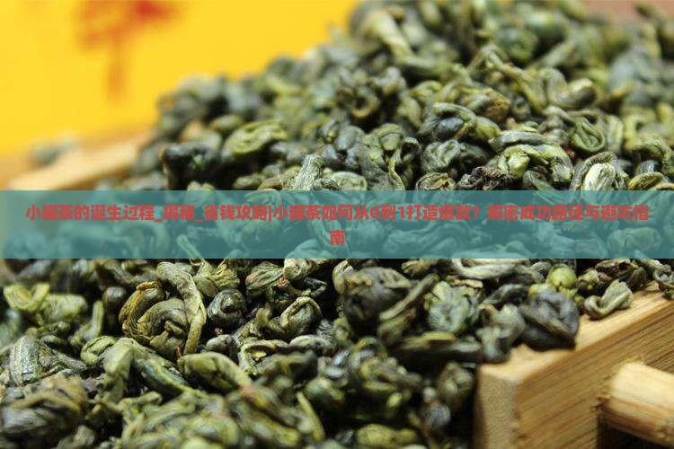 小罐茶的诞生过程