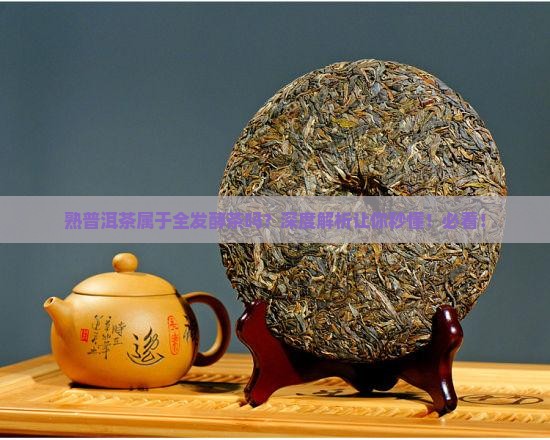 熟普洱茶属于全发酵茶吗