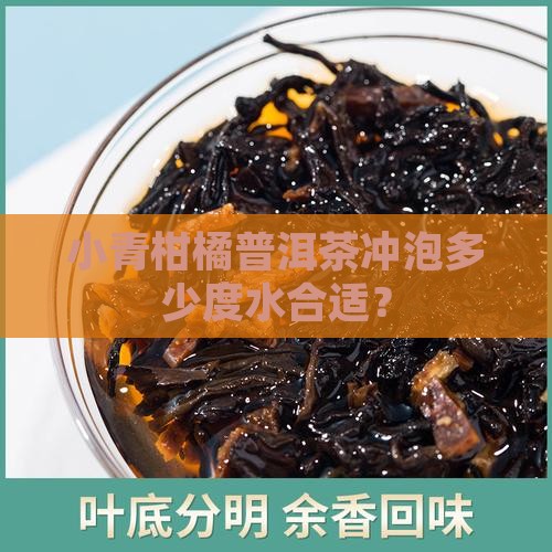 小柑橘普洱茶多少度水