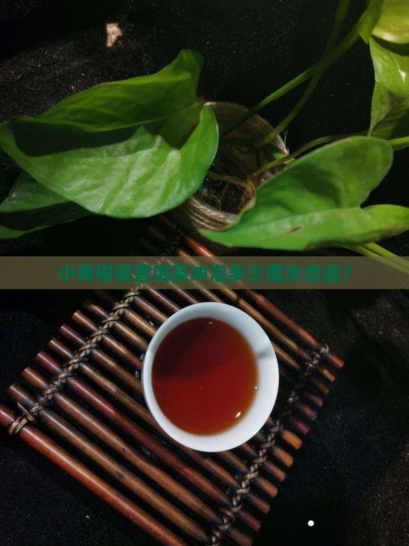 小柑橘普洱茶多少度水