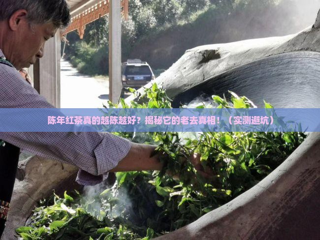 陈年红茶是不是越陈越好