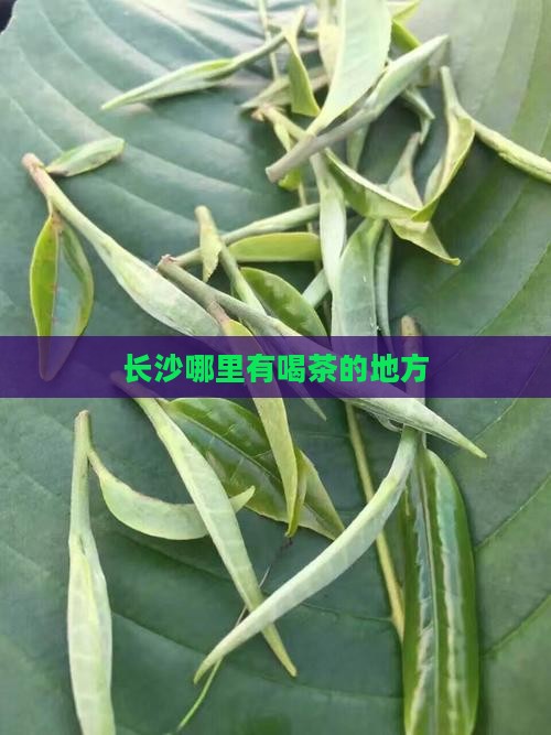 长沙哪里有喝茶的地方