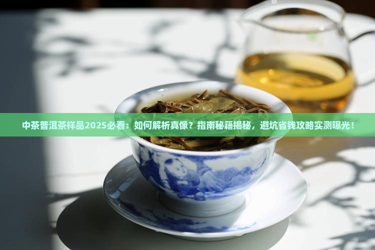 中茶普洱茶样品