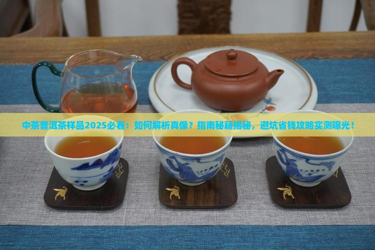 中茶普洱茶样品