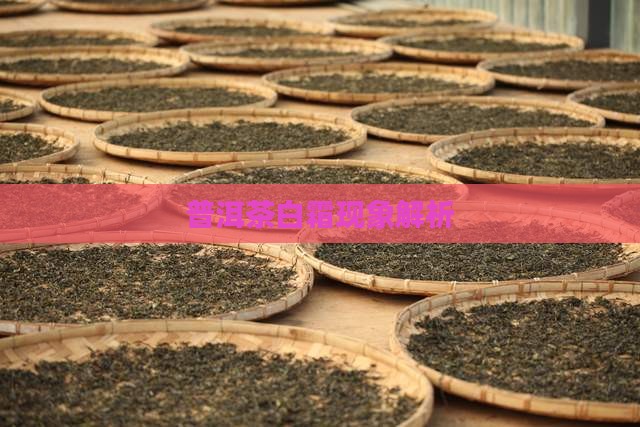 普洱生茶砖里面起白霜