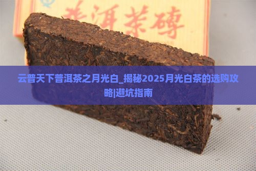 云普天下普洱茶之月光白
