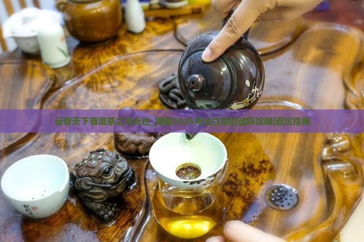云普天下普洱茶之月光白