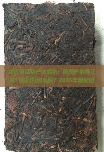 戎氏普洱茶产地
