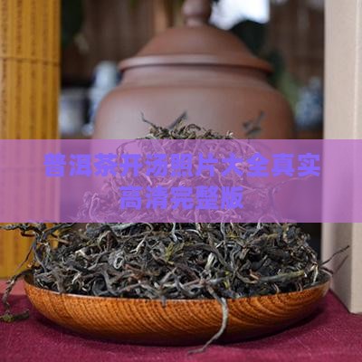 普洱茶开汤照片大全真实