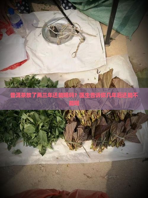 普洱茶放了两年还能喝吗