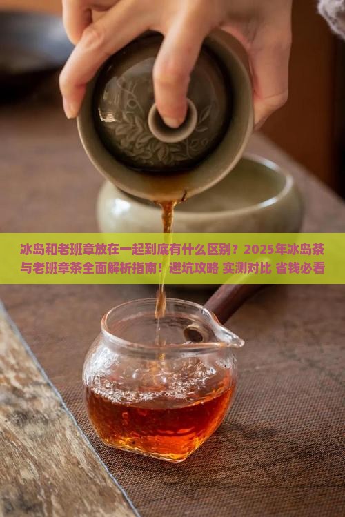 冰岛和老班章放在一起