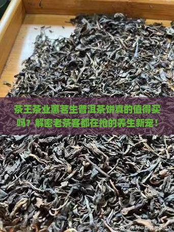 茶王茶业蕙茗生普洱茶饼