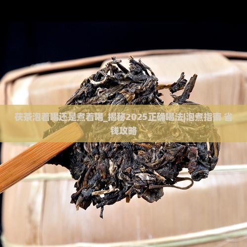茯茶泡着喝还是煮着喝