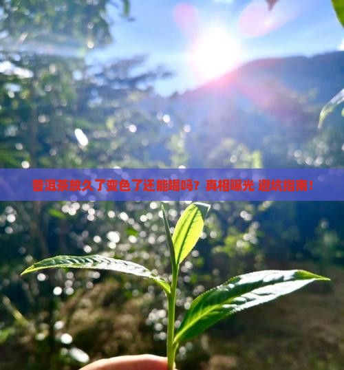 普洱茶存放久了变色了能喝吗 普洱茶存放久了变色了能喝吗