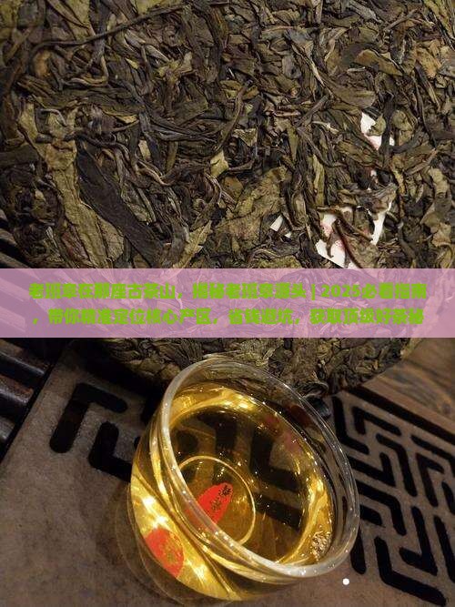 老班章在那座古茶山