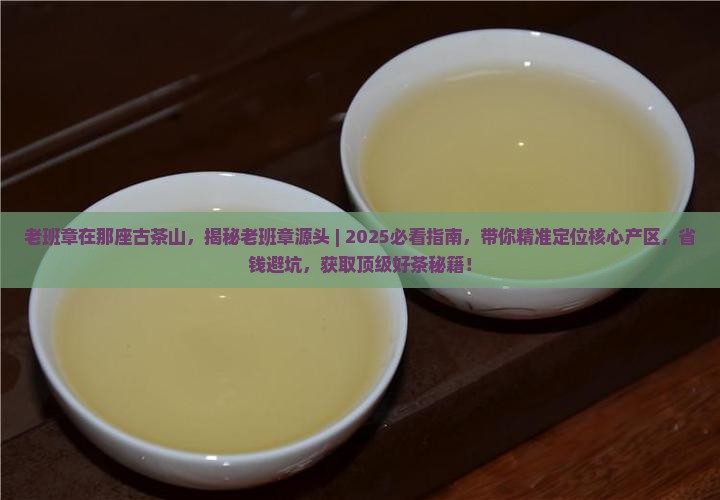 老班章在那座古茶山