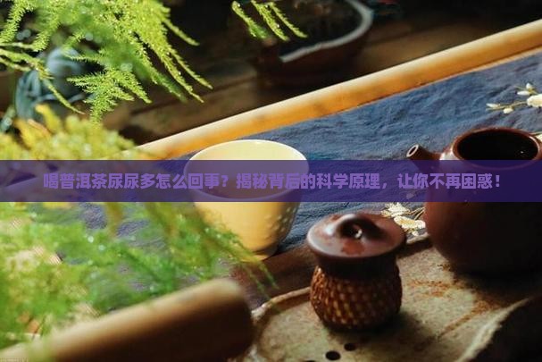 喝普洱茶尿尿多怎么回事