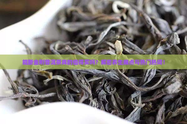 能断金刚普洱茶推荐