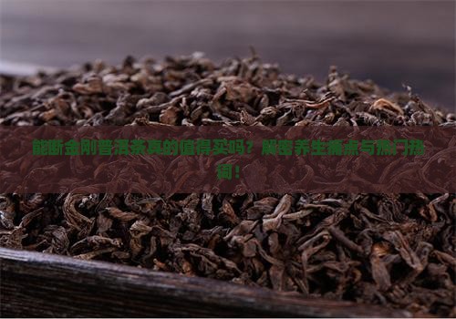 能断金刚普洱茶推荐