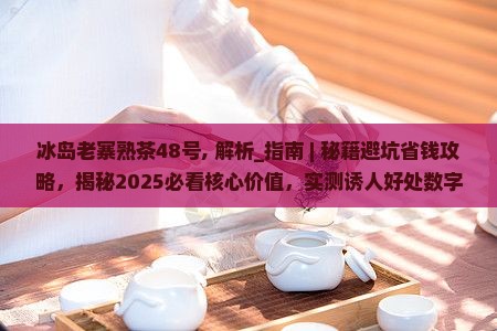 冰岛老寨熟茶48号