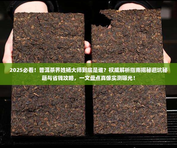 普洱茶姓杨的大师是谁啊