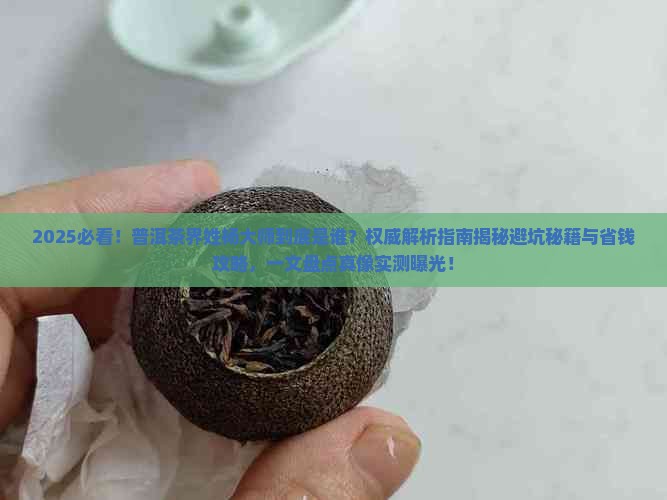 普洱茶姓杨的大师是谁啊