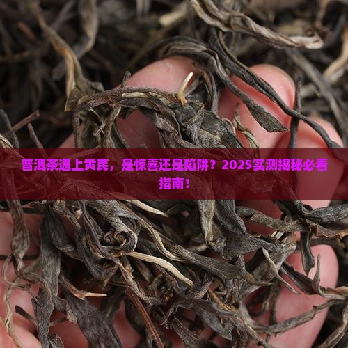 普洱茶与黄芪一起泡