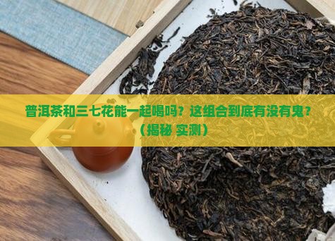 普洱茶与三七花能一起喝吗