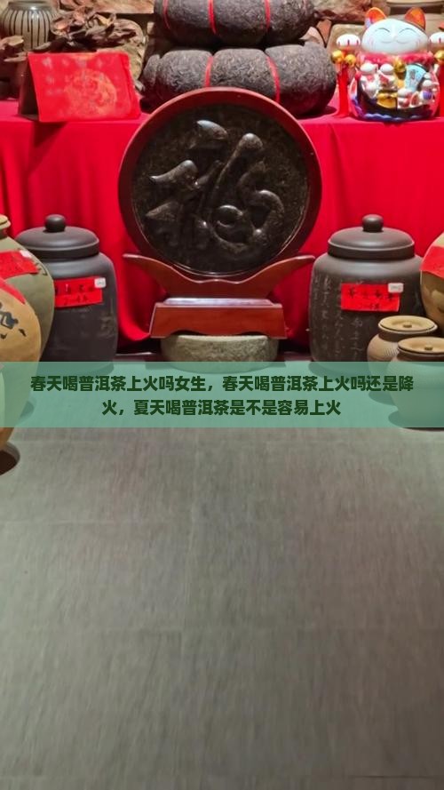 春天喝普洱茶上火吗