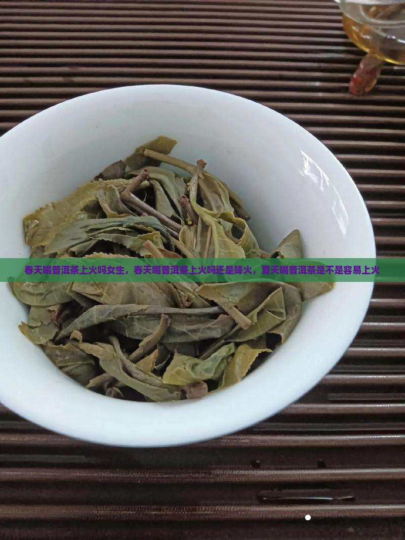 春天喝普洱茶上火吗