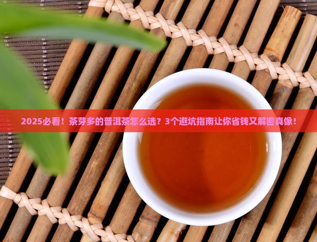 茶芽多的普洱茶推荐哪种
