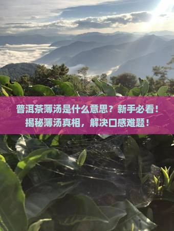 普洱茶薄汤是什么意思