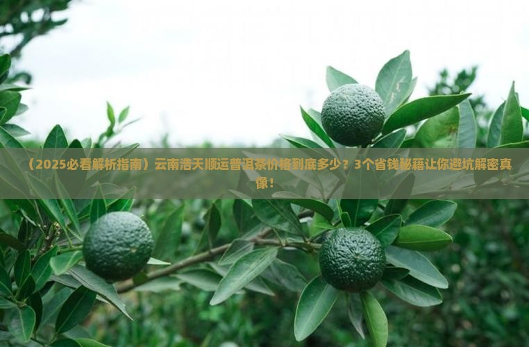 云南浩天顺运普洱茶价格