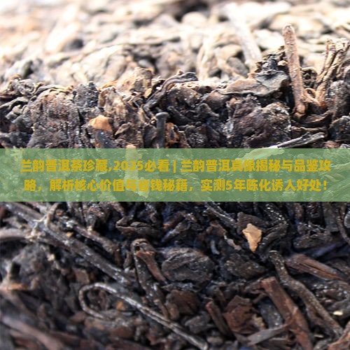 兰韵普洱茶珍藏