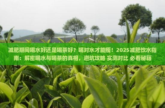 减肥期间喝水好还是喝茶好