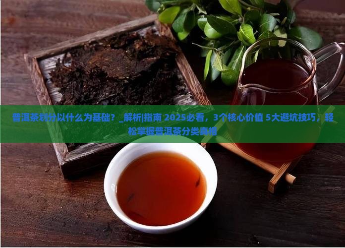 普洱茶划分以什么为基础