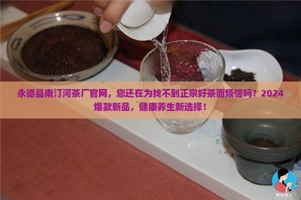 永德县南汀河茶厂官网