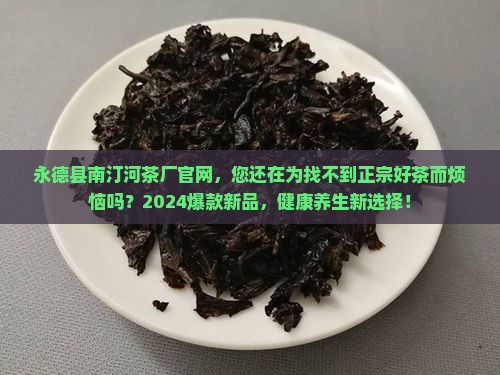 永德县南汀河茶厂官网