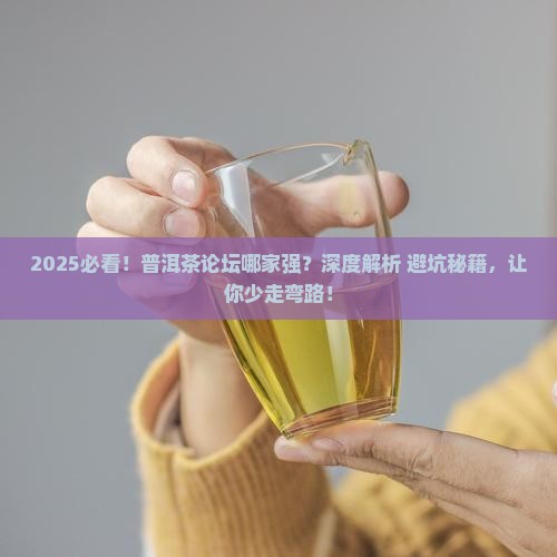 普洱茶哪些论坛好