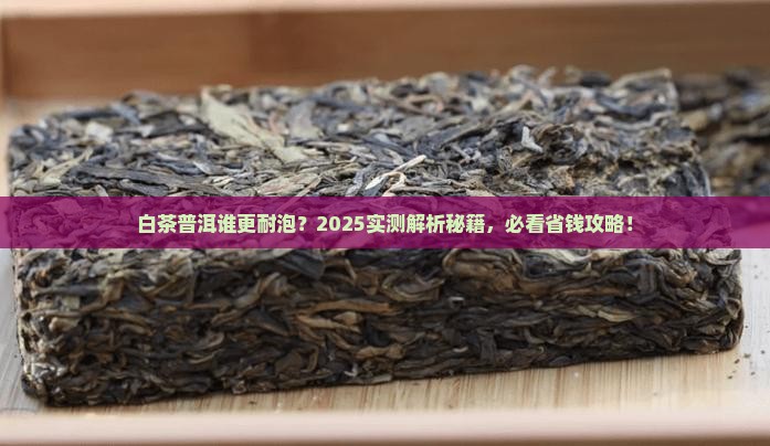 白茶和普洱茶哪个耐泡好