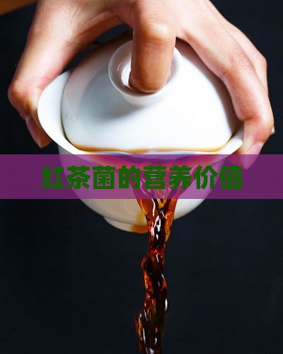 红茶菌的营养价值