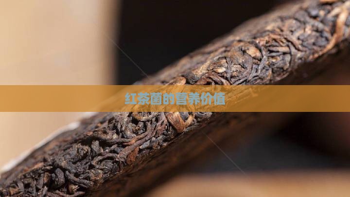 红茶菌的营养价值